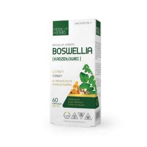 Boswellia (Kadzidłowiec) 350mg, 60 kaps.